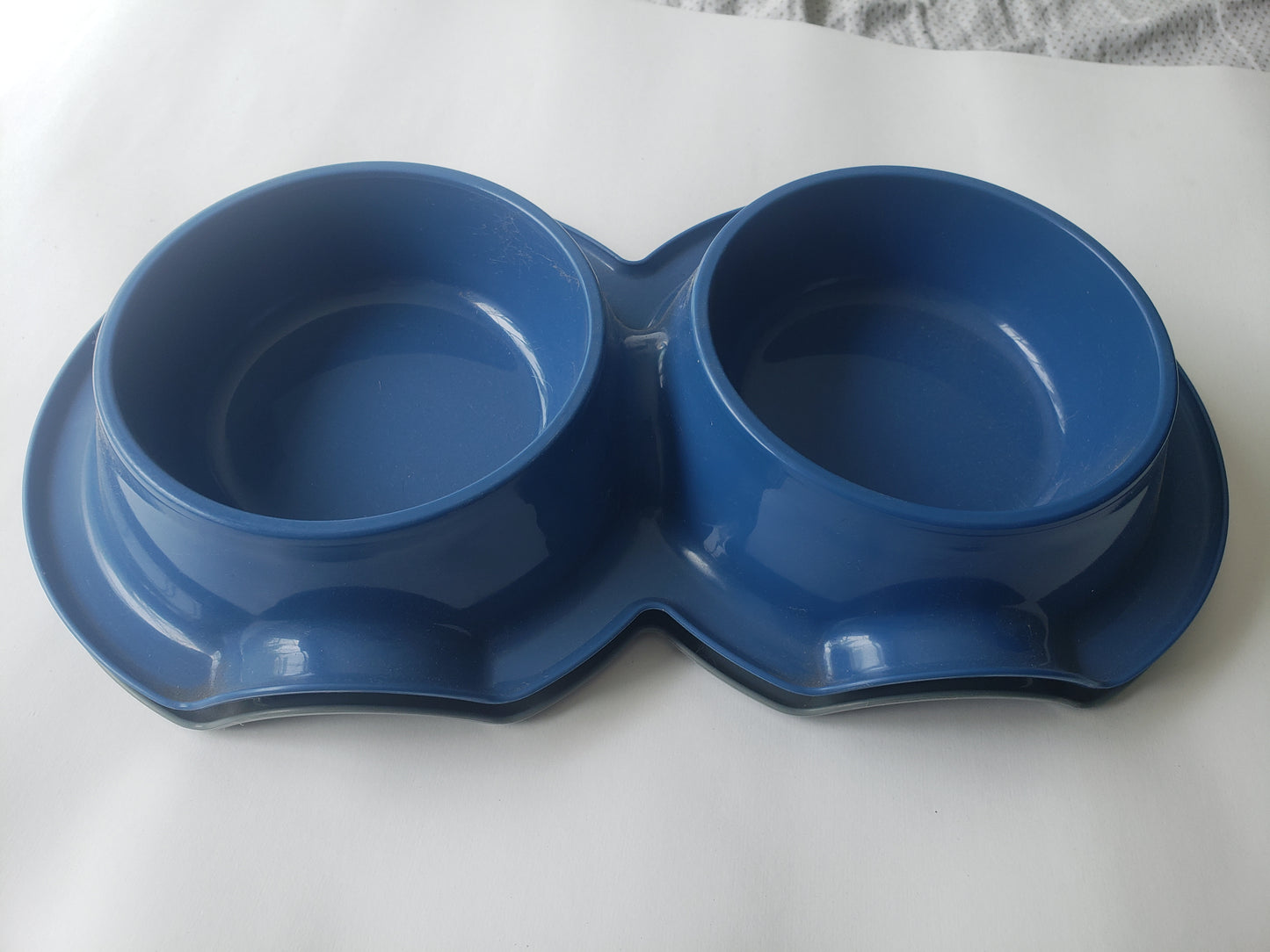 Plato Doble para Mascotas – Color Plomo y Azul