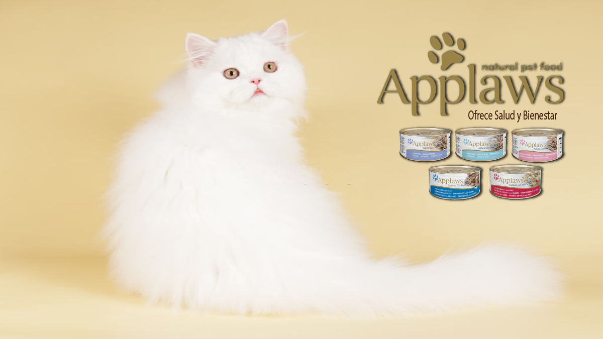 Applaws Gatitos Lata x 70 gr