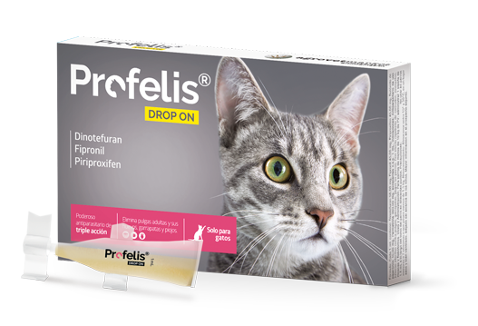 Profelis Drop On caja x 5 Und. 1mL