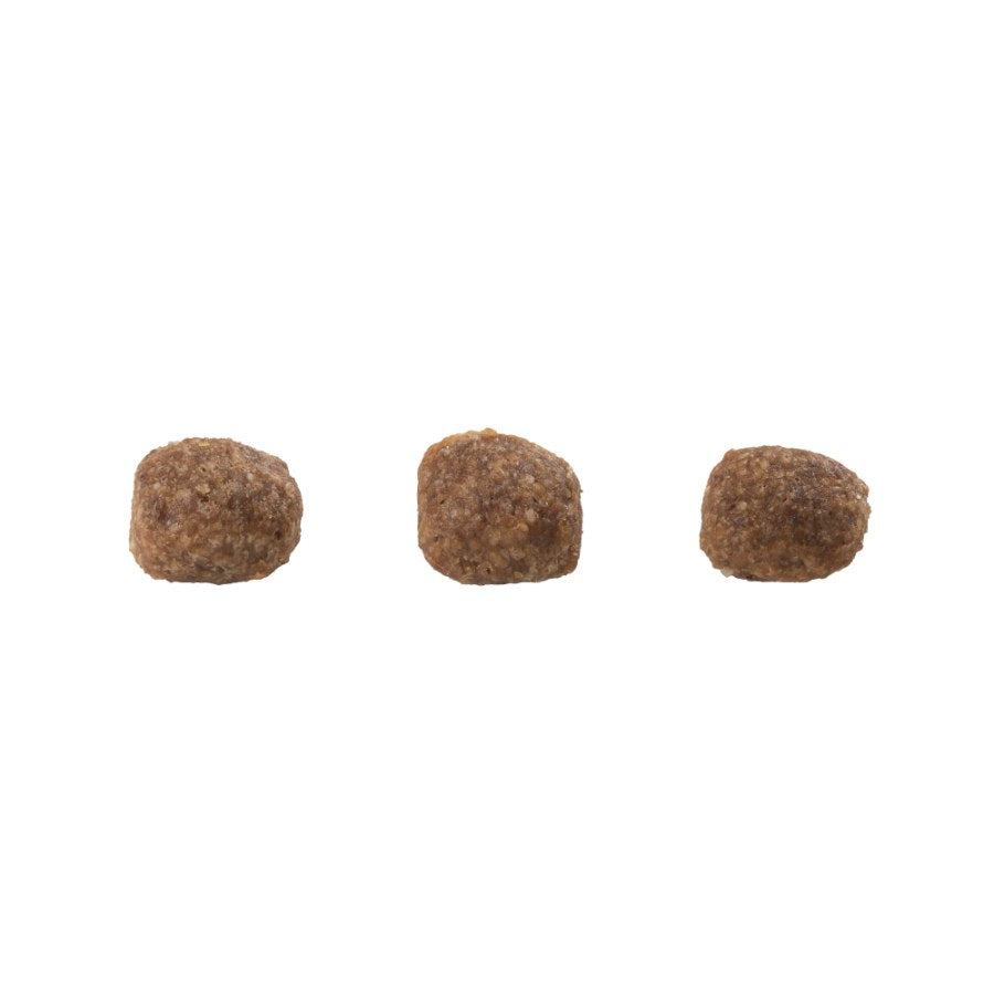 Gran Plus Gatito - Salmón y Pollo ( 1kg)