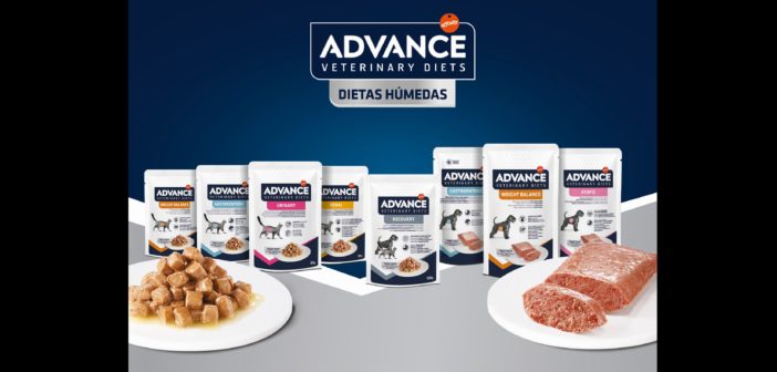Advance Veterinary Diets Gatos