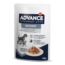 Recovery para Perros y gatos