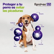 Fipronex G5 Drop On 1.5ml (10 - 20 kg)